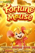 Fortune Mousse en SPIN7 COM